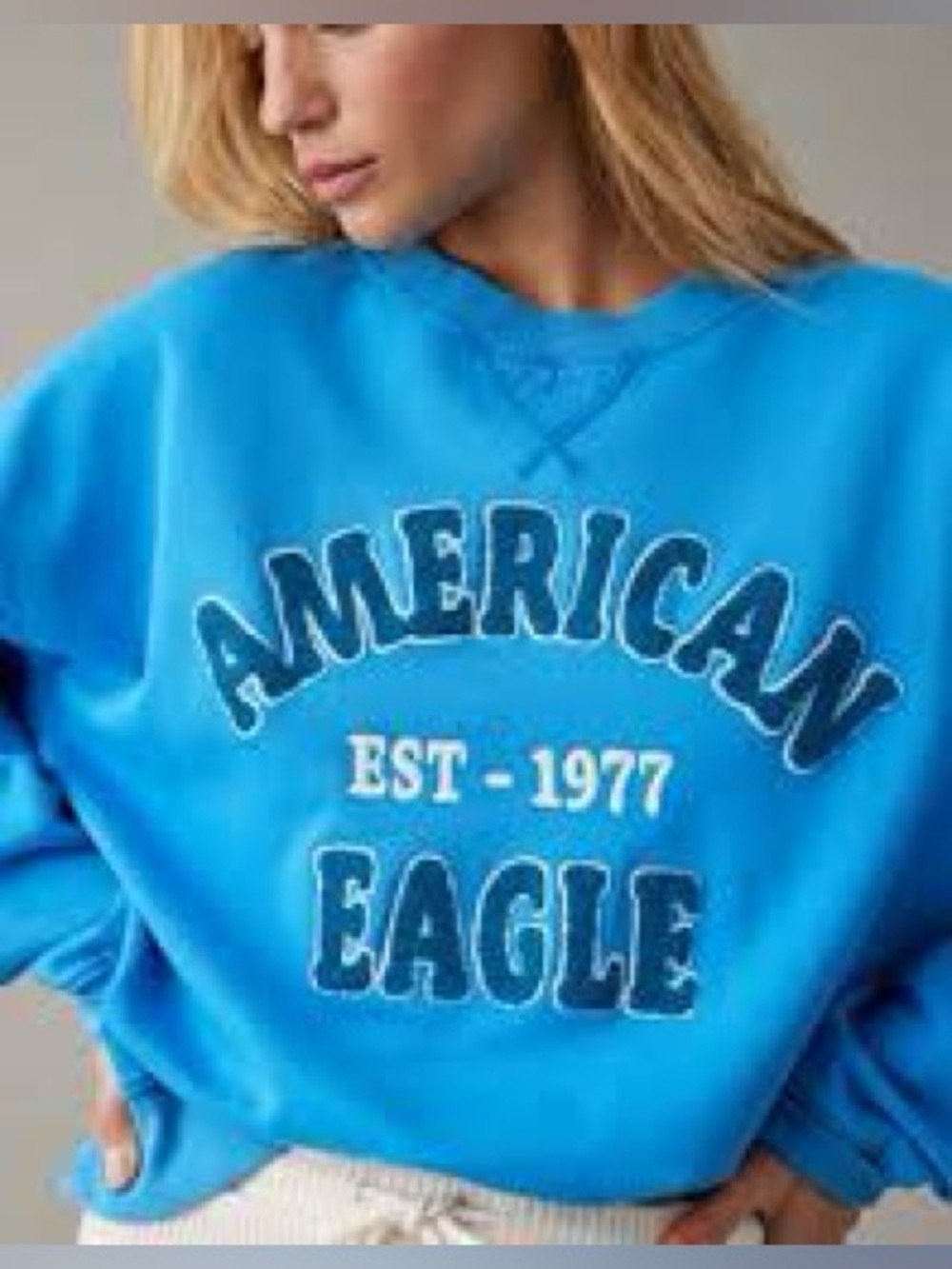 American Eagle Funday Graphic Sweatshirt Blue Oversized XXS